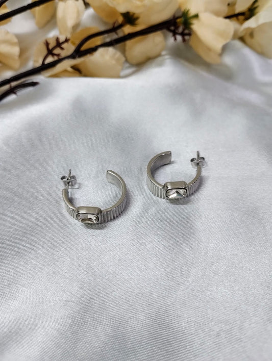 Shiny Loop Earrings
