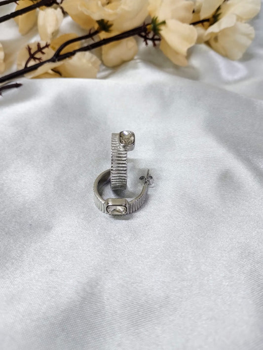 Shiny Loop Earrings